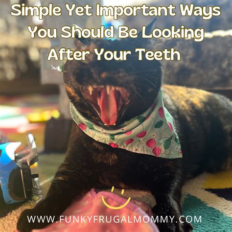 Funky Frugal Mommy: Simple Yet Important Ways You Should Be Looking After Your Teeth
