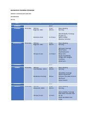 Badminton Training Program Example 的图像结果