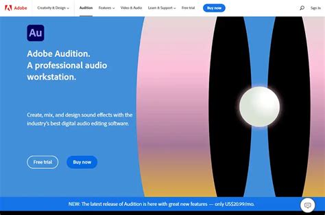 Image result for Video Voice Over Software for PC