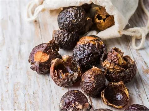 Buy Ayurvedic Amara Bath Ritual Box Online in India - The Tribe Concepts