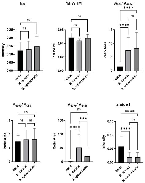Enhancing Bone Infection Diagnosis with Raman Handheld Spectroscopy ...