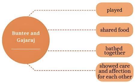 NCERT Solutions Class 6 English The Unlikely Best Friends - PDF FREE ...