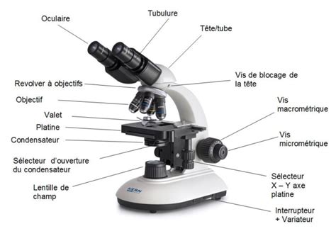 Image result for Microscope Schema Optique