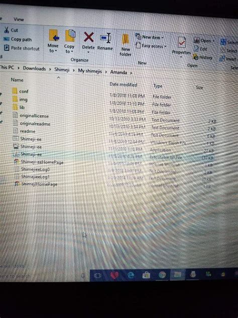 Shimeji Tutorial 的图像结果