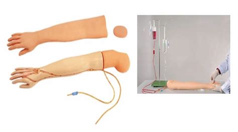Image result for IV Training Arm Model