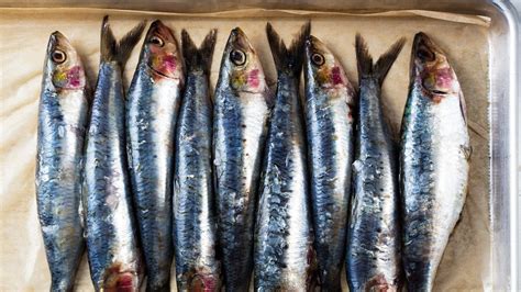 How To Eat Sardines
