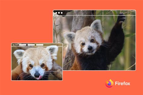 Image result for Red Panda vs Firefox