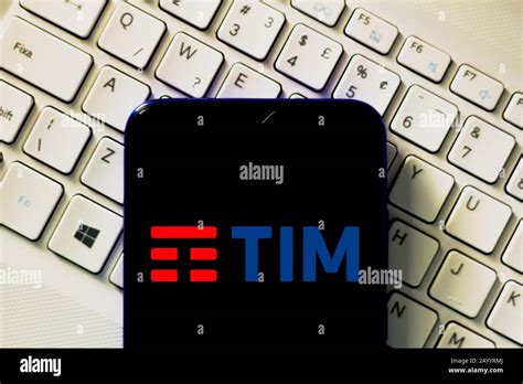 Image result for Tim Brazil Logo
