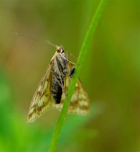 5,000+张最精彩的“256 X 256”图片 · 100%免费下载 · Pexels素材图片