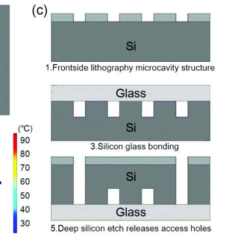 Microfluidic Chip 的图像结果