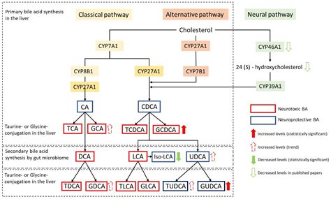 Diagnostic Potential of Alternations of Bile Acid Profiles in the ...