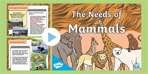 Needs Of Mammals PowerPoint