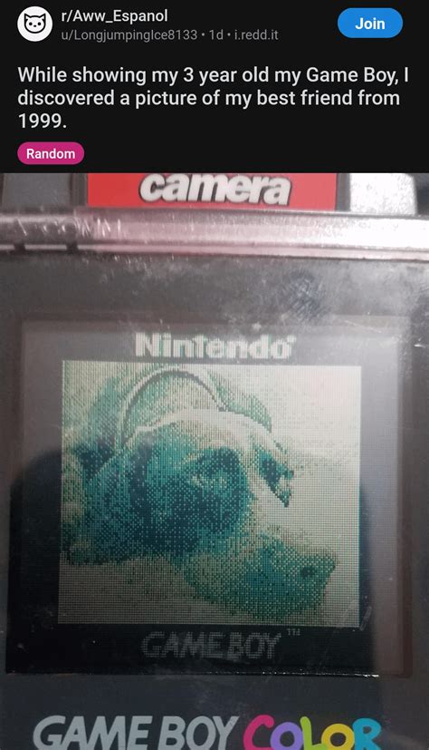 adorable but it's a repost and not in spanish : r/lostredditors