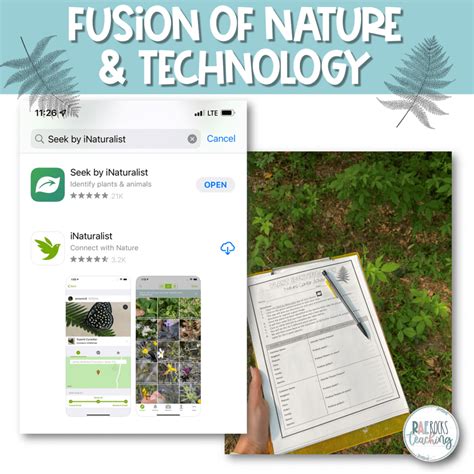 Image result for CLIL Lesson On Classifying Plants