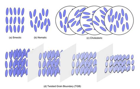 Effect of Central Longitudinal Dipole Interactions on Chiral Liquid ...