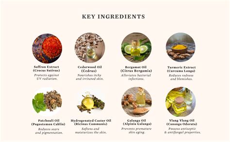 Bipha Ayurveda Kashmira Saffron Night Cream | Premium Ayurvedic Face ...