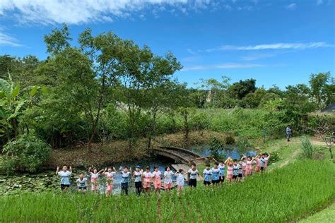 ind gogo rummy,providing players an engaging and ente