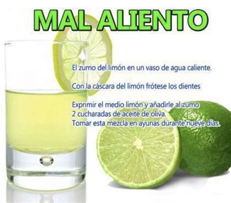 ¿cómo quitar el mal olor de la boca – Artofit