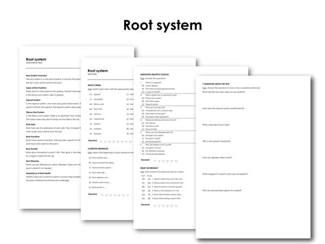 Image result for About Root System