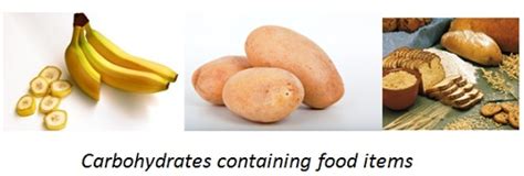 Image result for Science Class 6 Chapter 2 Components of Food