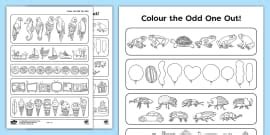 👉 Odd One Out Nature Worksheet (teacher made) - Twinkl