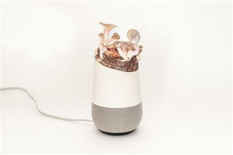 Image result for Project Alias