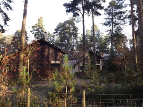 Whinfell Forest, penrith, United Kingdom - Top Attractions, Things to ...