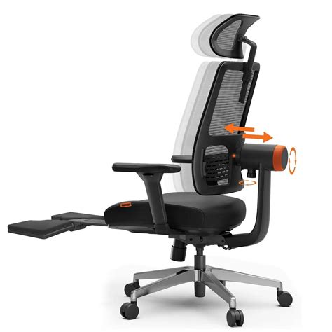 Posture Support Office Chair Ergonomic Chair Buy Drogo Posture Online