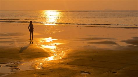 Image result for Goa Latest