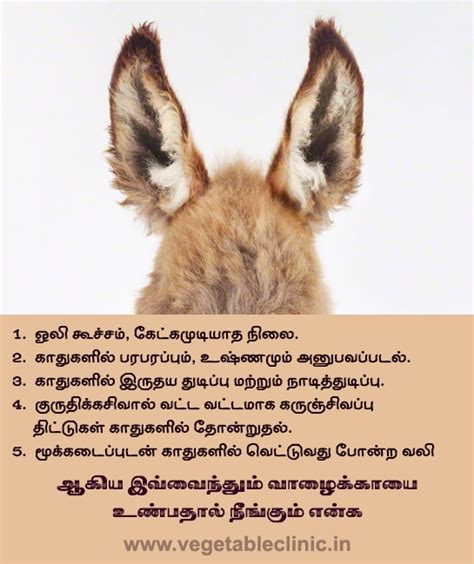 Vegetable Clinic Call : +919994443517 in Coimbatore