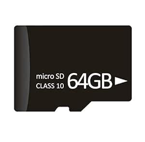 AREBI 64GB Micro SD Card, Memory Card for Security Cameras/Dash Cam/Pet ...