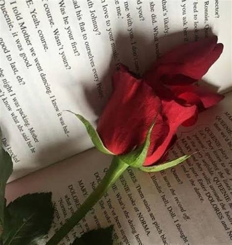 மாயாஜாலம் (Tamil Edition) eBook : Jenila, J: Amazon.in: Kindle Store