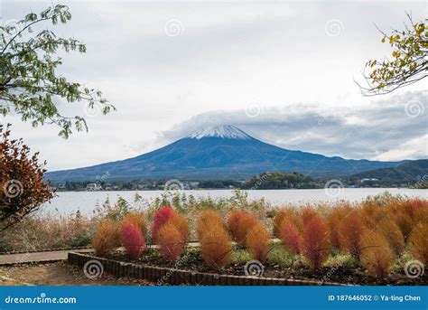 Fujisan Is Surrounded By Lake With Beautiful Cloudy Sky In Kawaguchiko ...