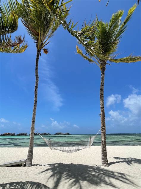 SONEVA JANI (Medhufaru) - Resort Reviews, Photos, Rate Comparison ...