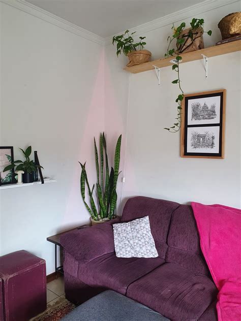 Spider Web Removal 的图像结果