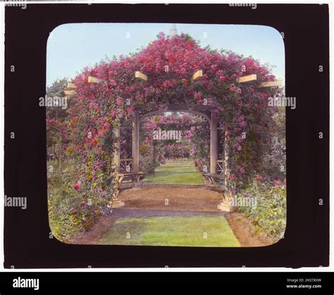 "Lyndhurst," Finley Johnson Shepard house, 635 South Broadway ...