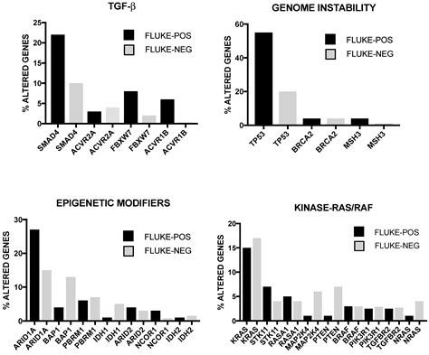 Liver Cancer: Molecular Characterization, Clonal Evolution and Cancer ...