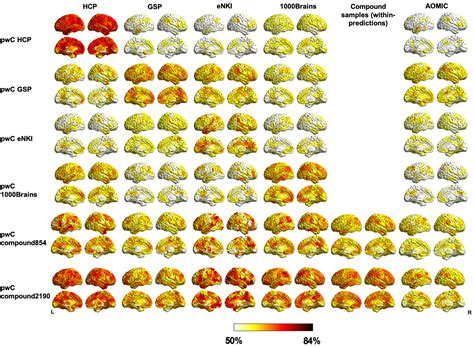 Image result for Brain Mapping Research