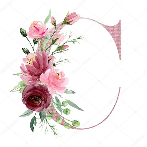 Descargar - Acuarela arte pintura, letra C con flores y hojas, alfabeto ...