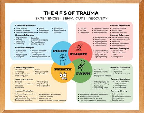 4 F's of Trauma Response Poster/ Handout. School Counselor, CBT ...