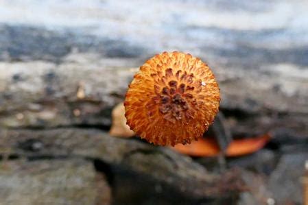 Otra borrasca trae la miniseta a Barcelona