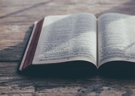 bible online free