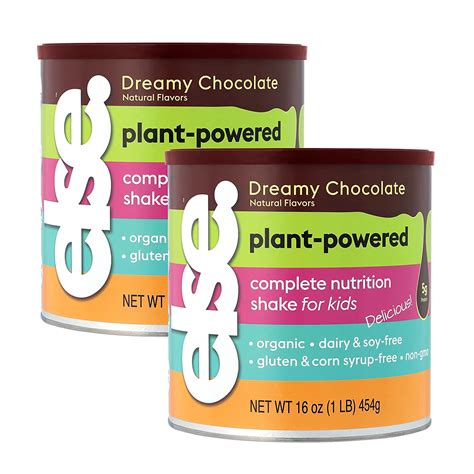 Amazon.com : (2 Pack) Else Nutrition Kids Organic Protein Shake Powder ...