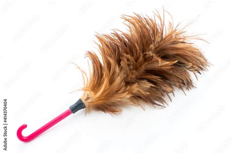 Using Feather Duster 的图像结果