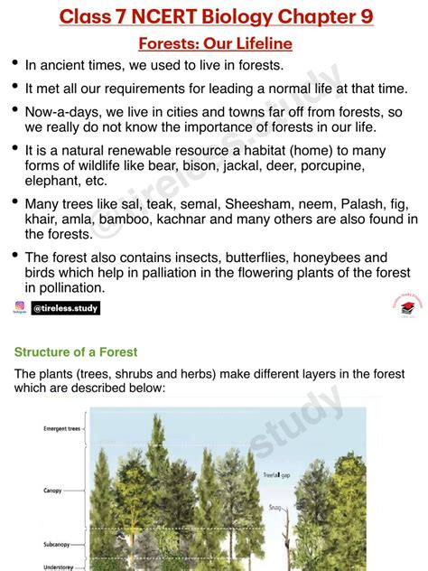 Class 7 Lesson 9 的图像结果