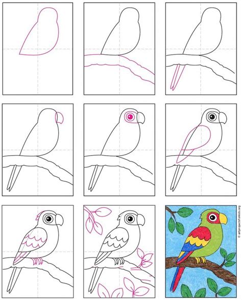 Image result for How to Draw Simple Parrot