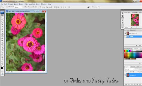 Image result for Tutorial for Extraction Is Photoshop CS6