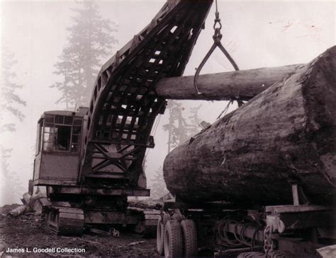 Image result for Old Logging Springboard