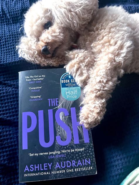 The Push Book Review – NO SHELF CONTROL