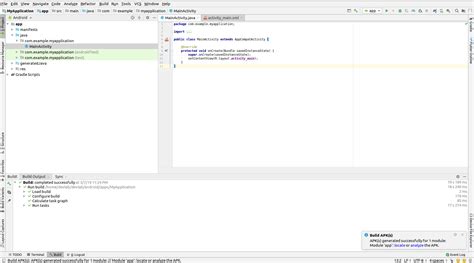 Build App Using Android Studio 的图像结果